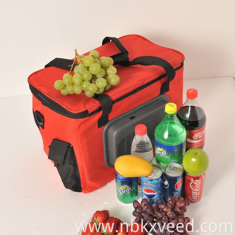 12V Plug 24L Portable Travel Electrical Picnic Cooler Bag For Car